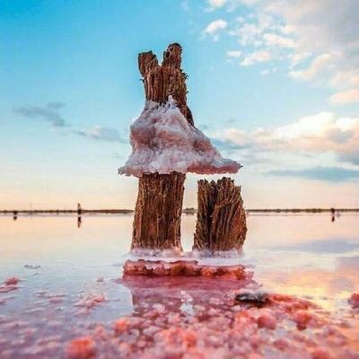 博鱼app手机app下载