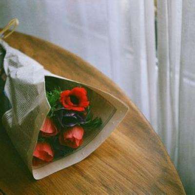 星空下载站官网手机app下载