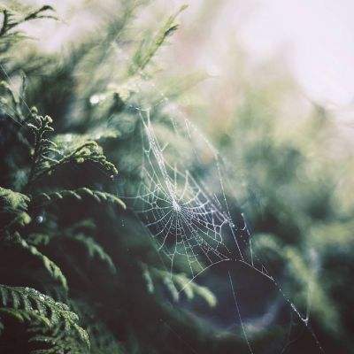 天博体育官网入口